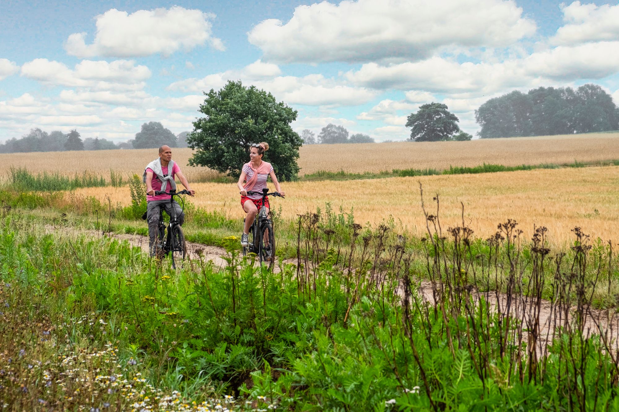 Fietsers in het buitengebied nabij Zeddam