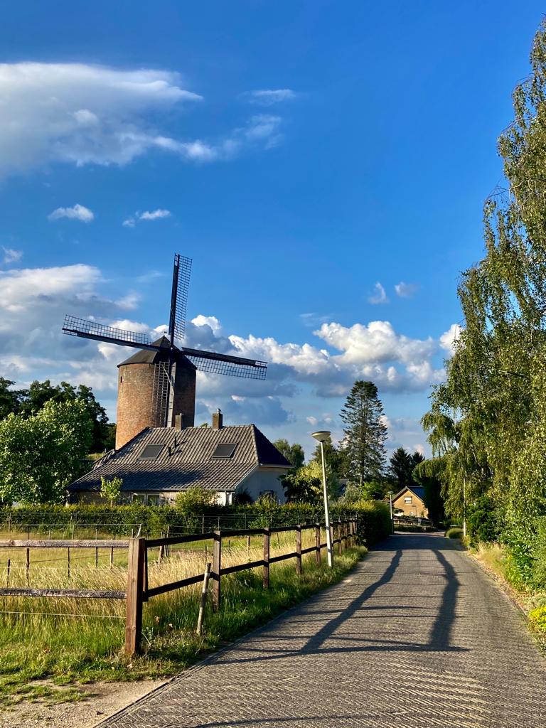 Torenmolen van Zeddam onder een blauwe lucht